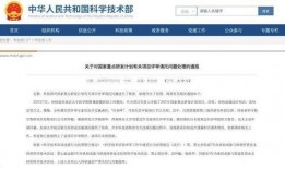 景洪新闻爆料电话查询,揭秘城市动态，倾听民声心声